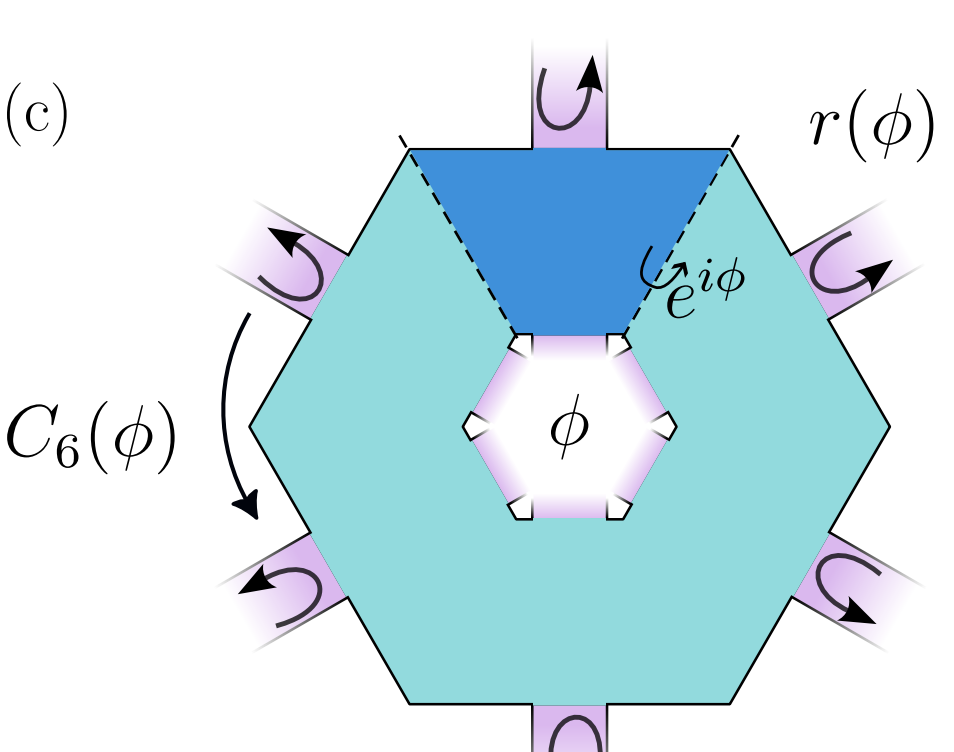 Concentric topological interference rings